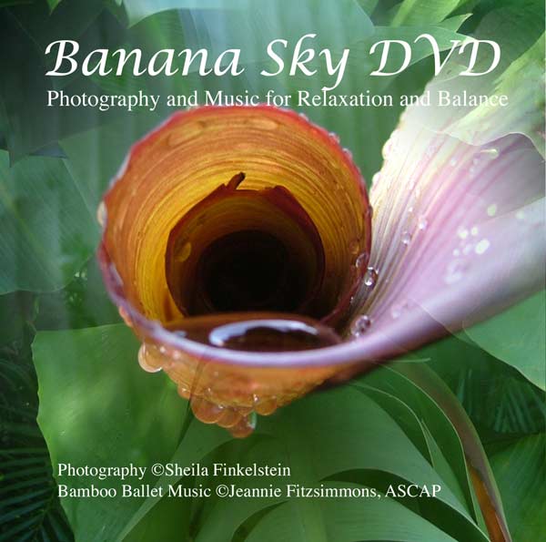 Banana Sky DVD cover art