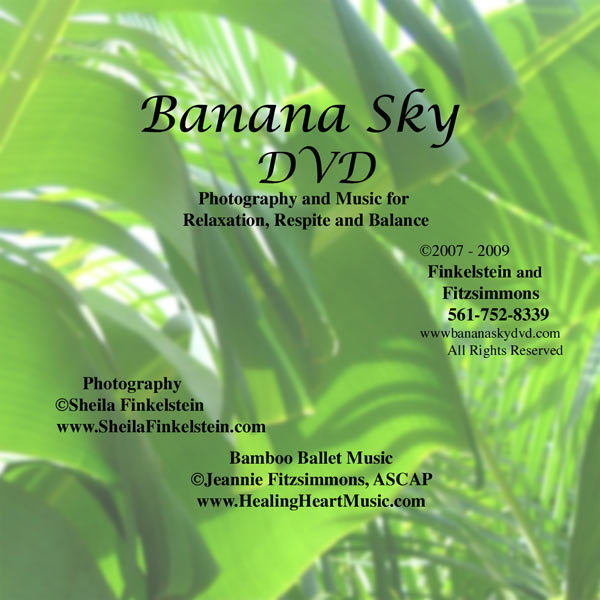 Banana Sky DVD disk label
